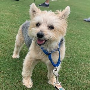 Meet your Posher, Connie